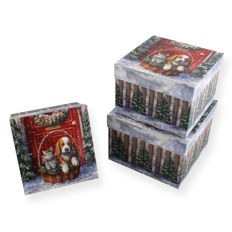 Gift Box-