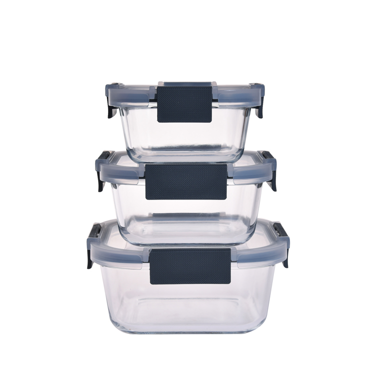 Glass Lunchbox