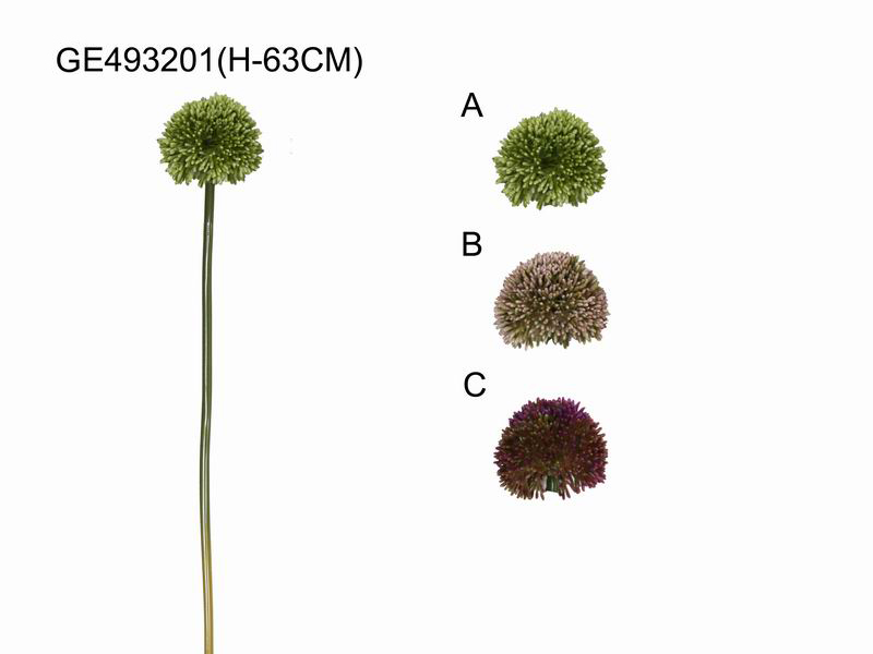 Single allium(H-63CM)