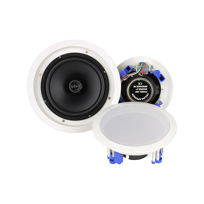 outdoor ceiling speaker