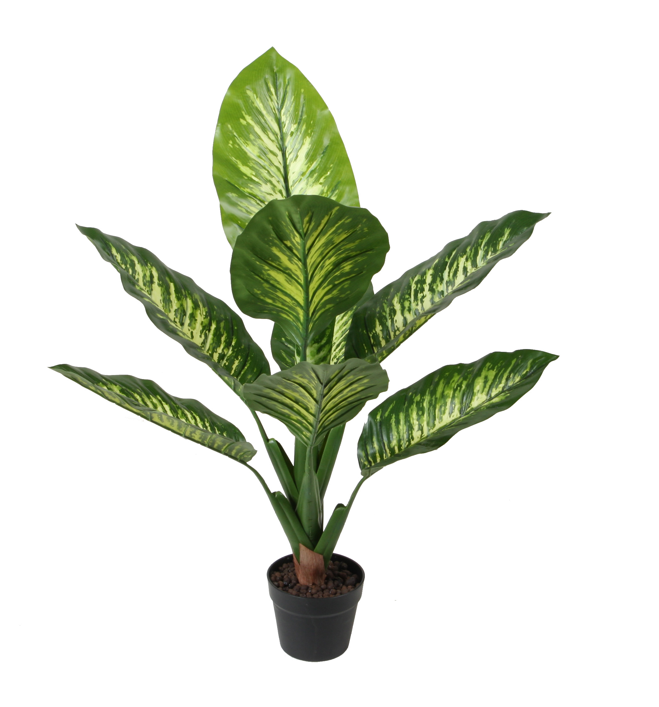 90CM Dieffenbachia