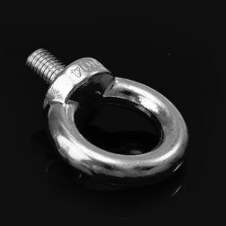 Stainless steel Lifting Eye Bolt type DIN580 304 316
