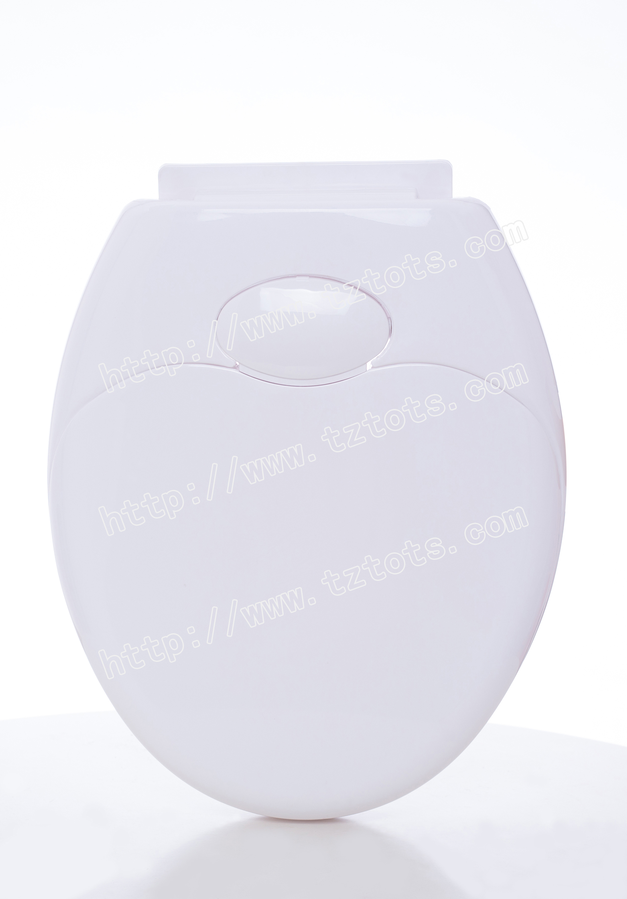 Plastic toilet seat