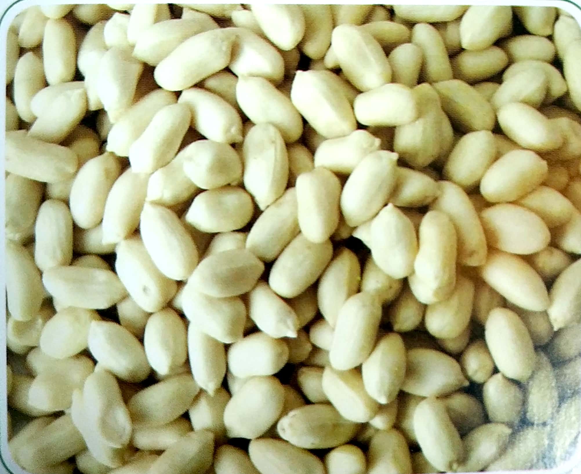 Blanched Peanut Kernels(Long Shape)