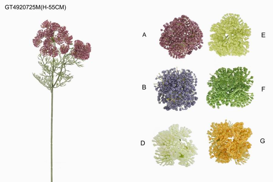 Single alyssum(H-55CM)