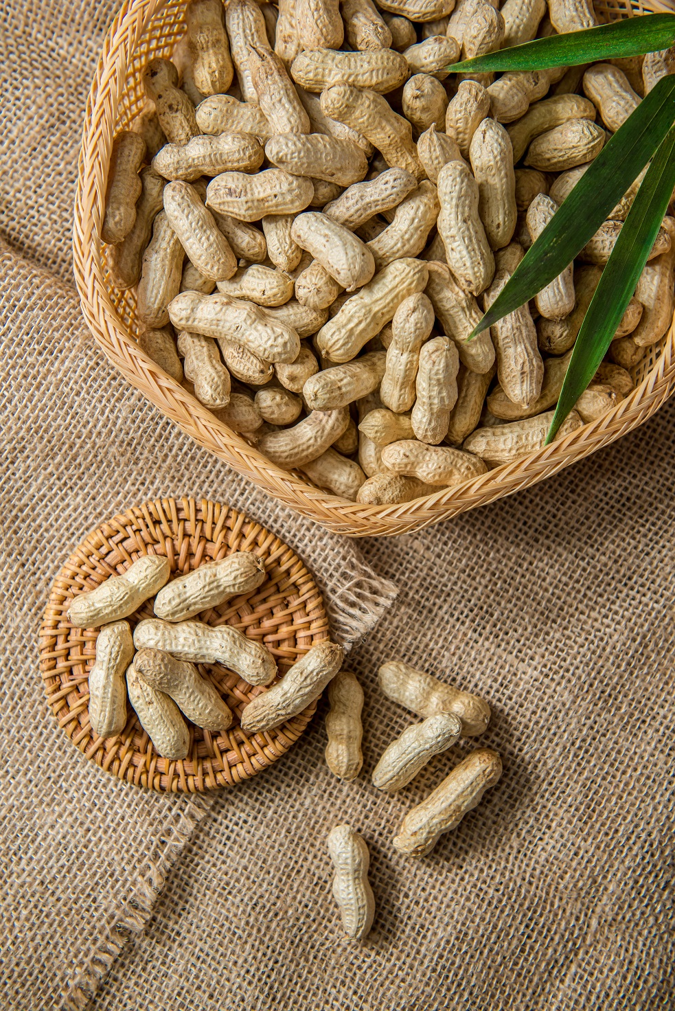 peanut inshell