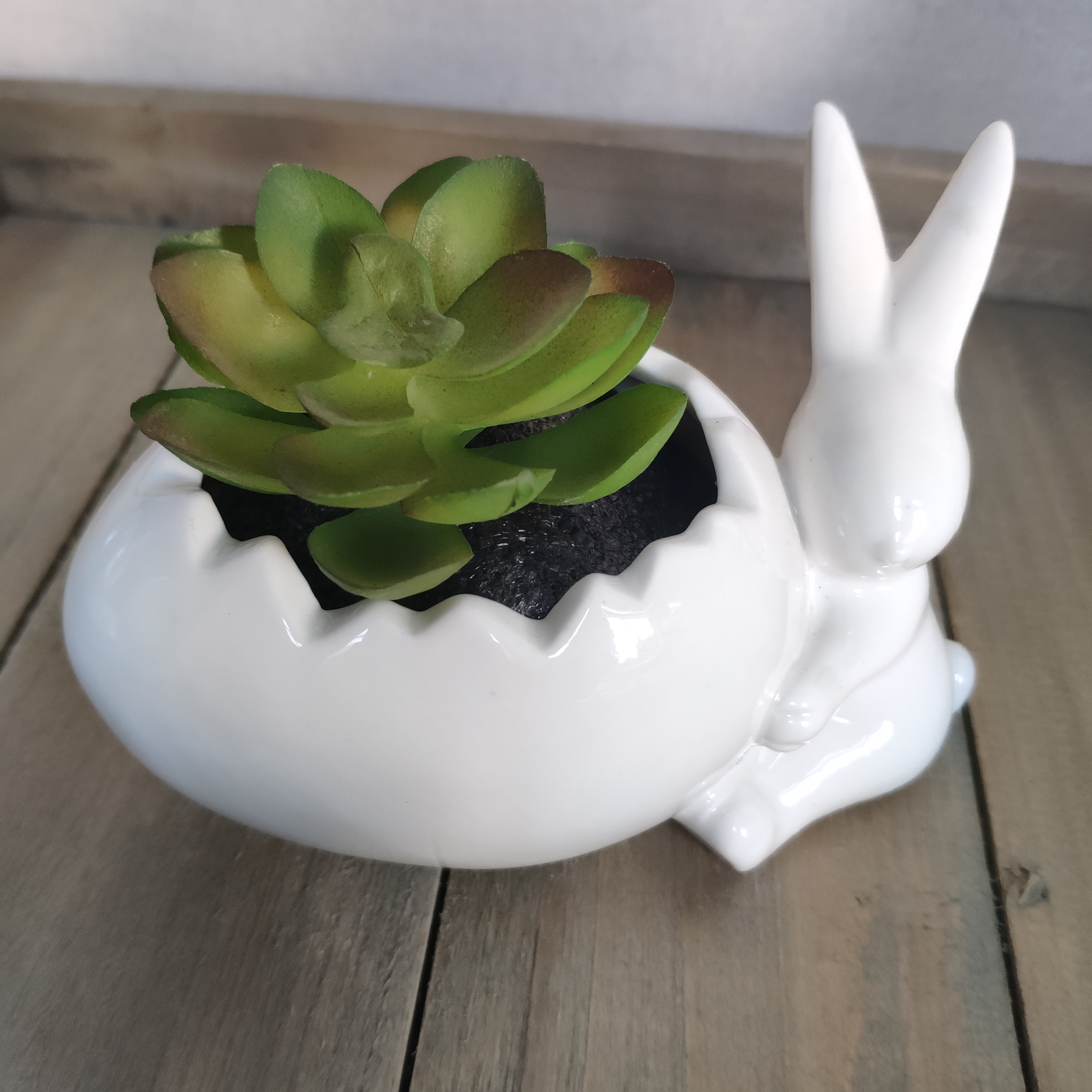 Succulent Easter Bunny Animal Planter