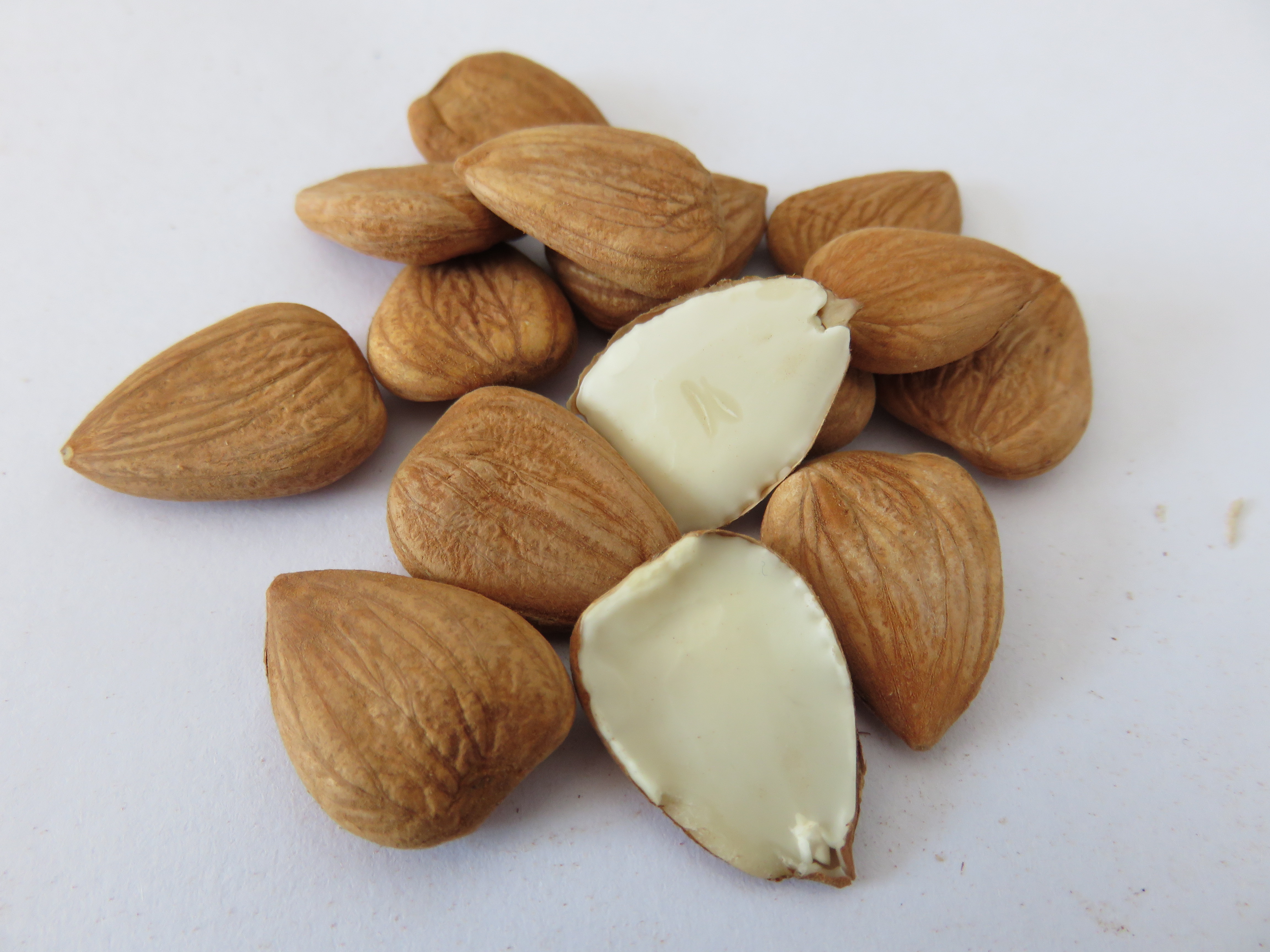 Longwang Sweet apricot kernels