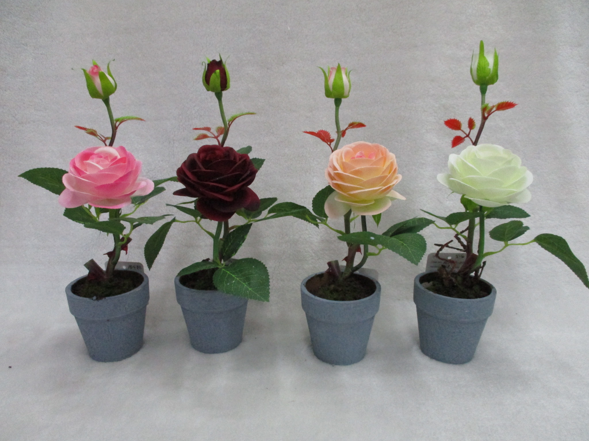 Mini Potted Rose