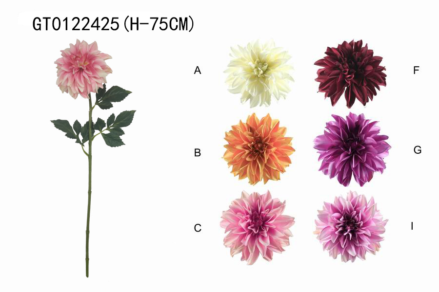 Single dahlia (H-75CM)