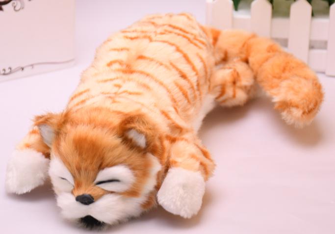 Rolling cat with laughter