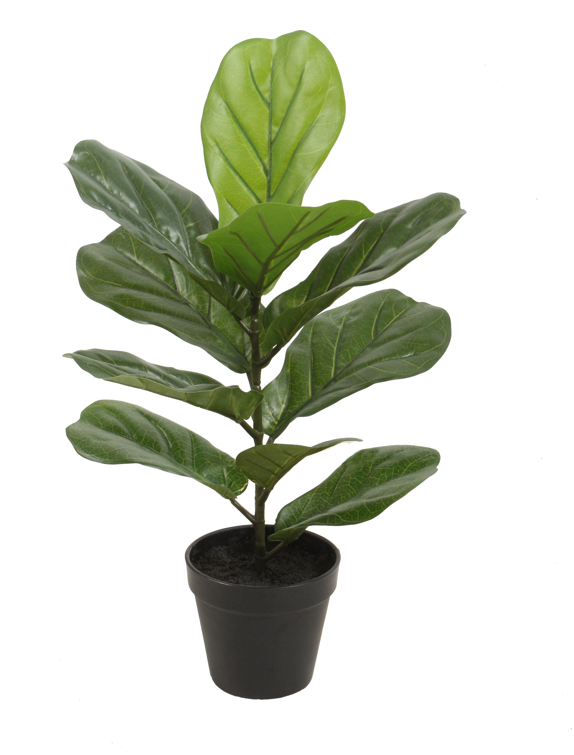 50CM Fiddle Leaf Tree