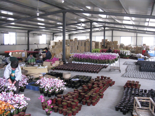 Baoding Northern Artificial Flower Co., Ltd. – Product photos 2