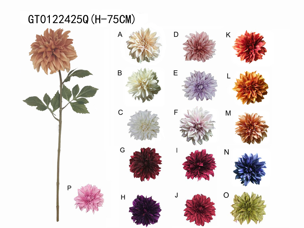Single dahlia (H-75CM)(autumn)