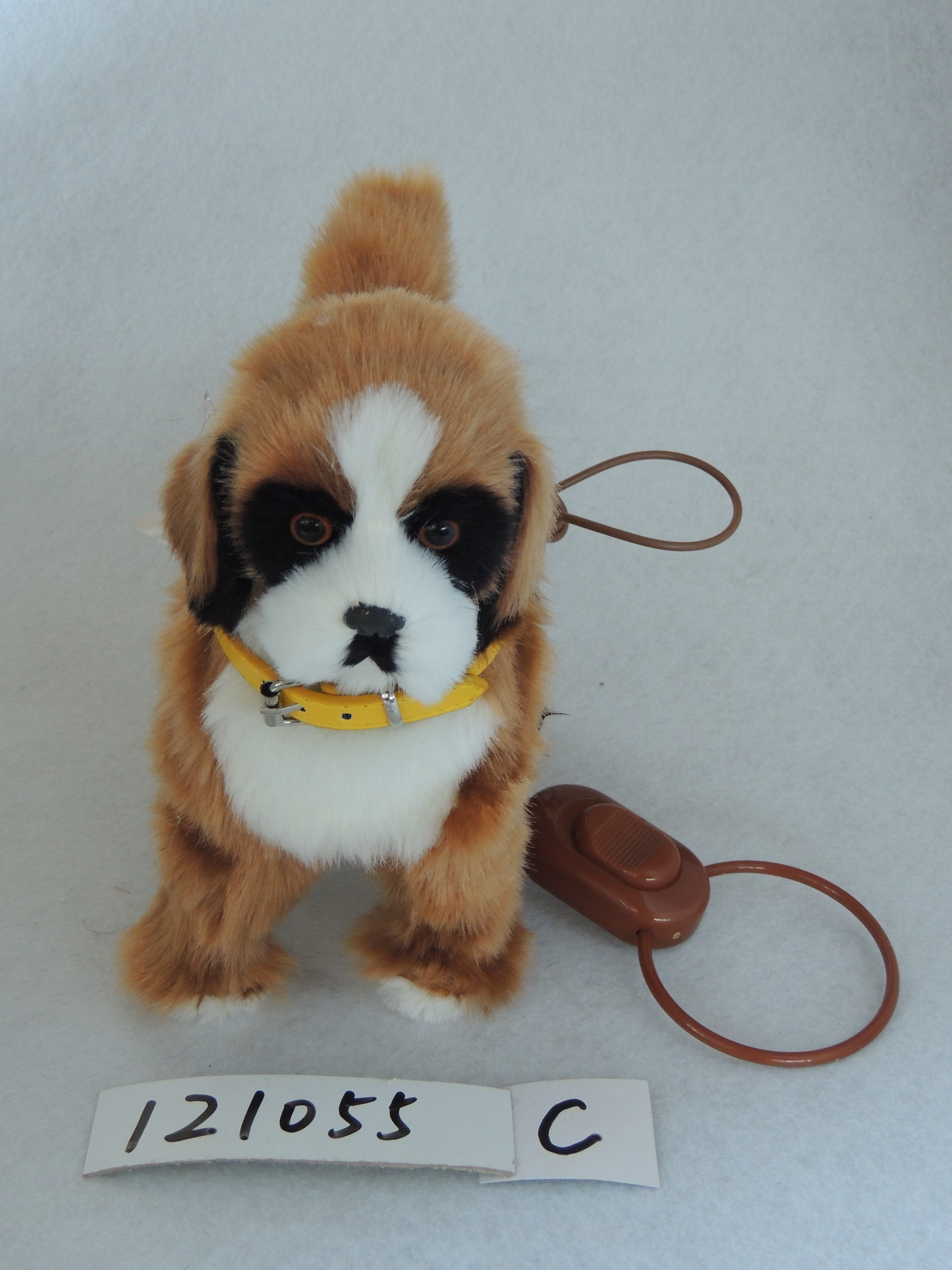 Walking dog with rope