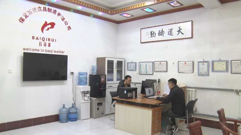 Baoding Baiqi Leather Goods Manufacturing Co., Ltd. – tool bags 3