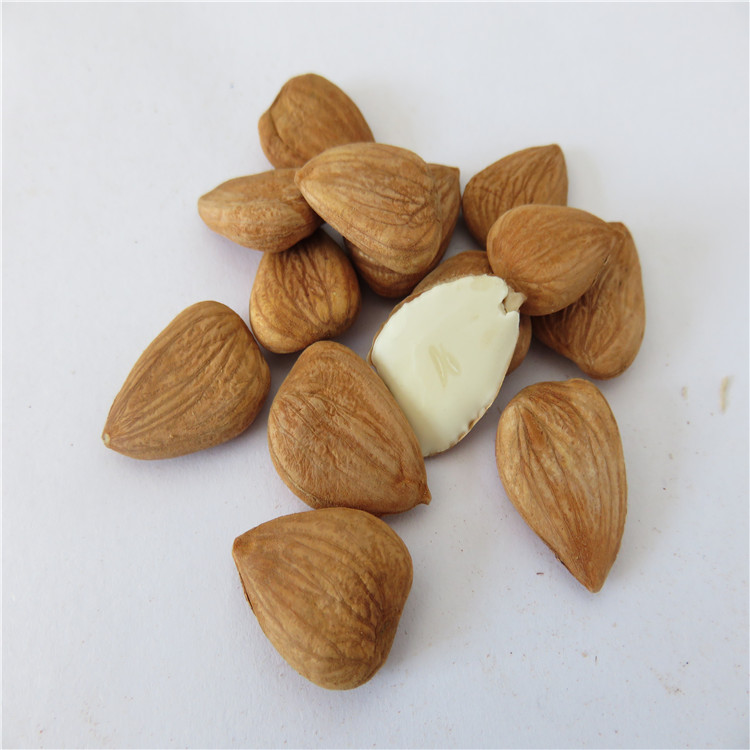 Sweet apricot kernels