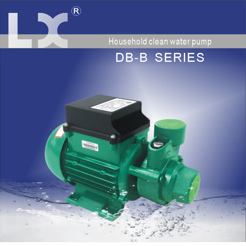 1DB-B Series Household clean water pump