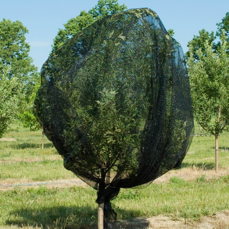 anti bird net - warp knitted