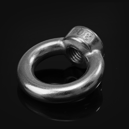 Stainless steel Lifting Eye Nut 304 316 type DIN582