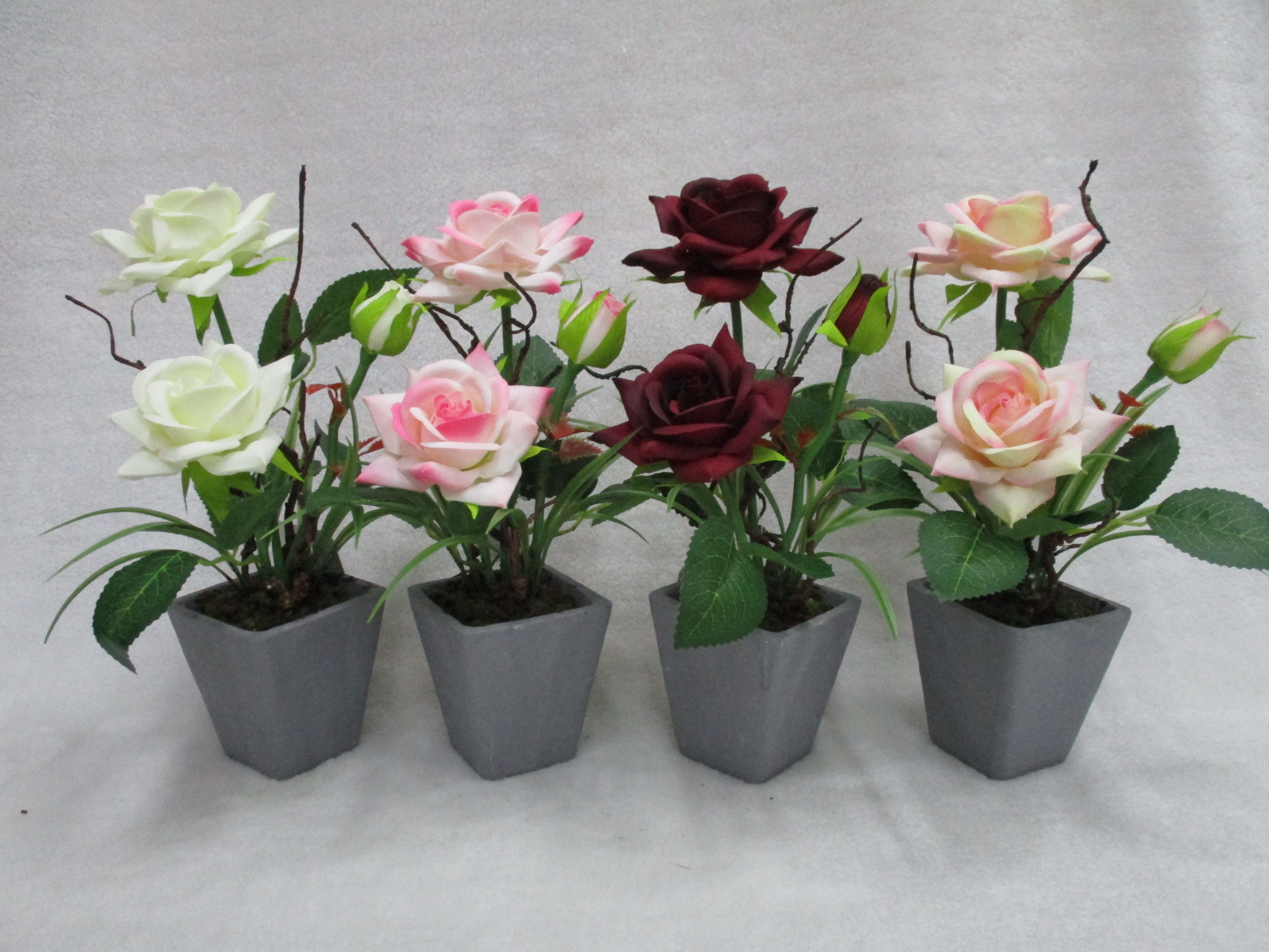 Potted Rose