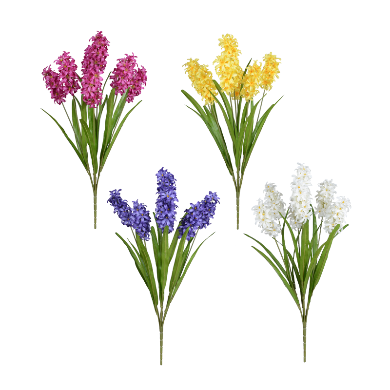 7127114 Decorative Dutch Hyacinth Flower Bulbs X 7