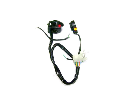 Tm110-2 Switches