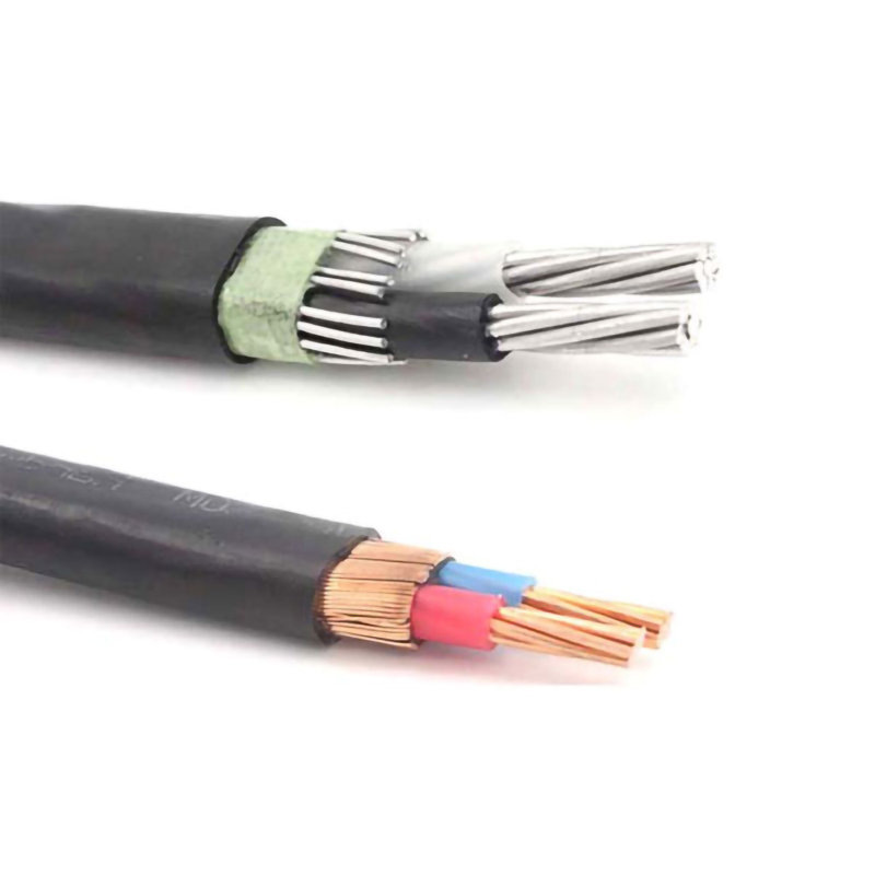 concentric cable