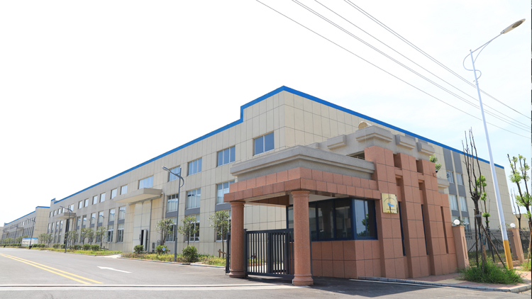 Anqing Yiren Paper and Plastic Packaging Materials Co., Ltd. – Masks 1