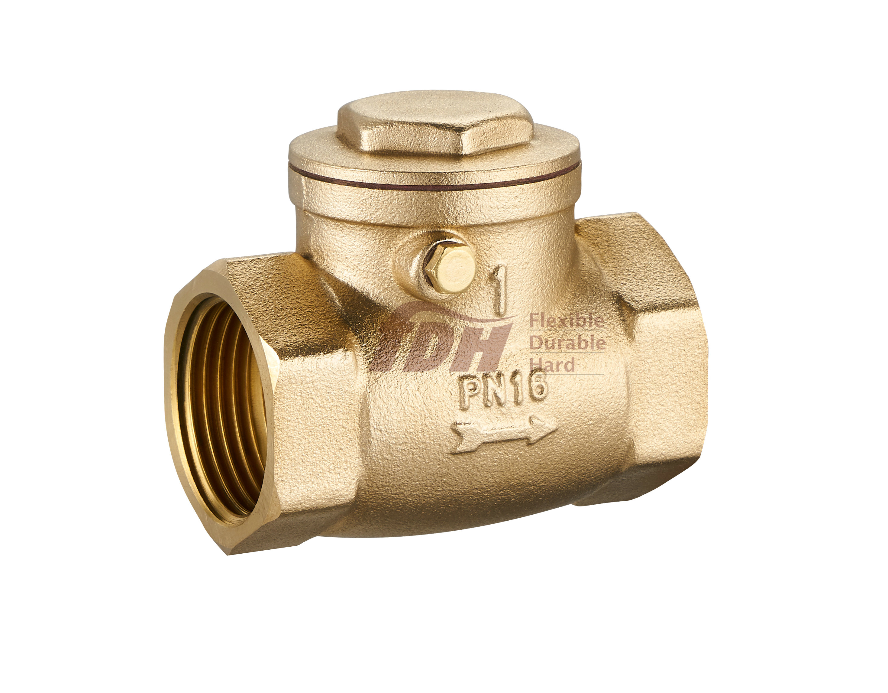 Swing Check Valve
