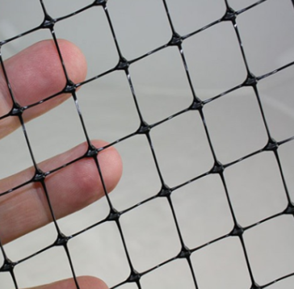 Anti-bird Net Two way extrusion