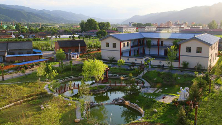 Shaanxi Taibai Mountain Natural Plant Development Co., Ltd. – Other Chinese medicinal materials 1