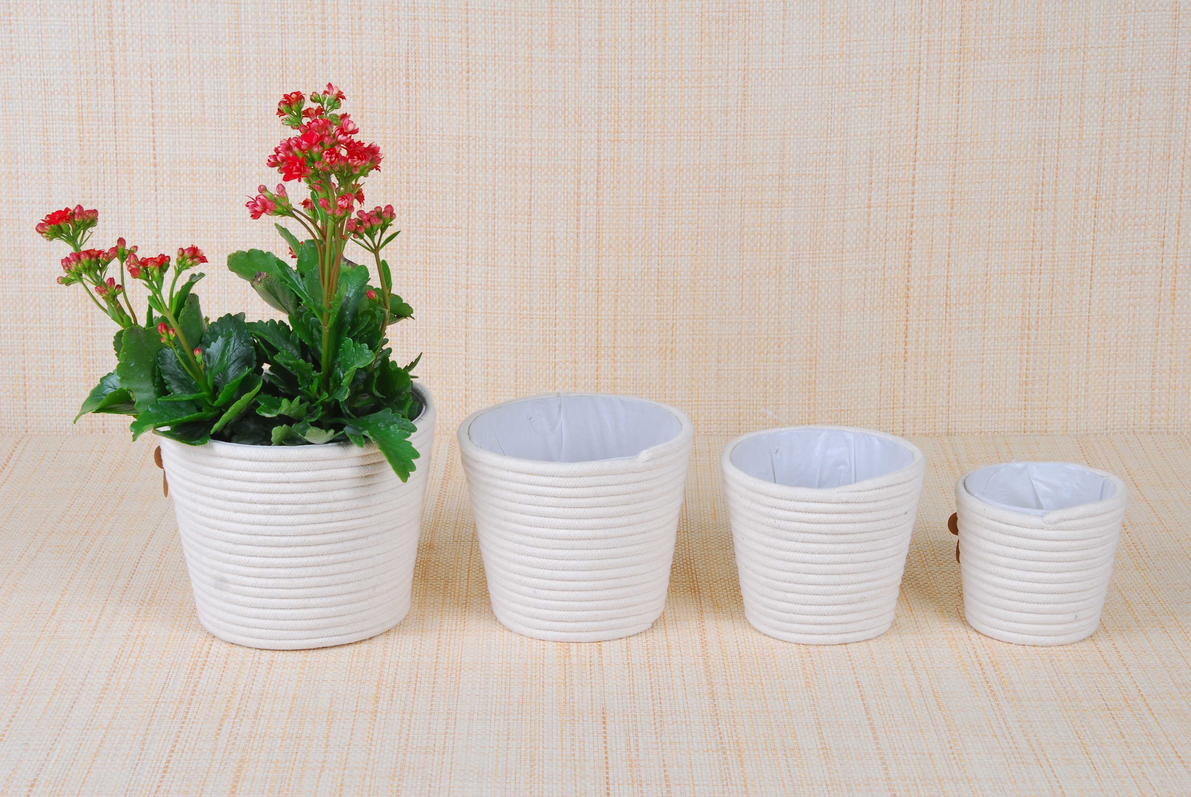 Flower Pot