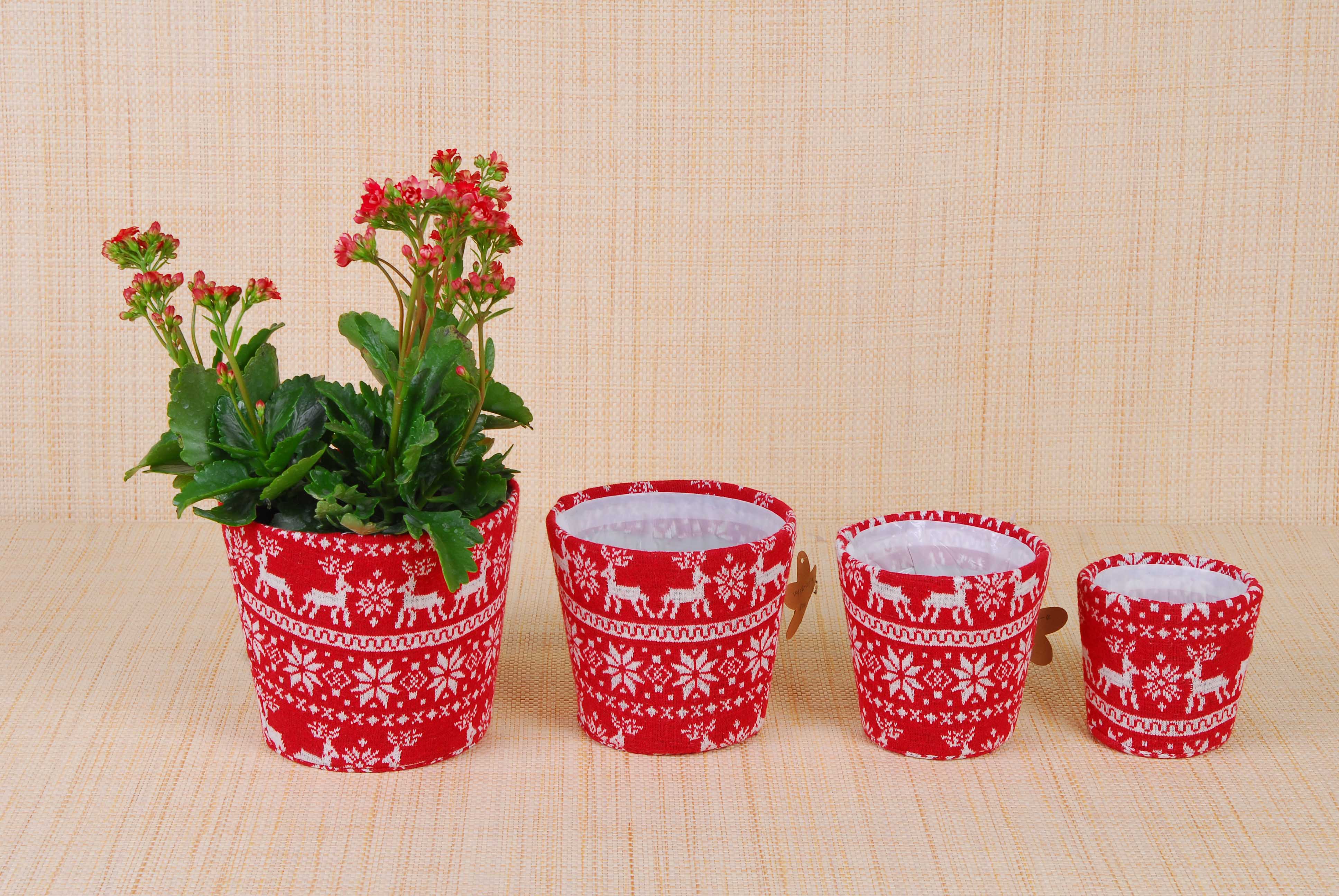 Flower Pot