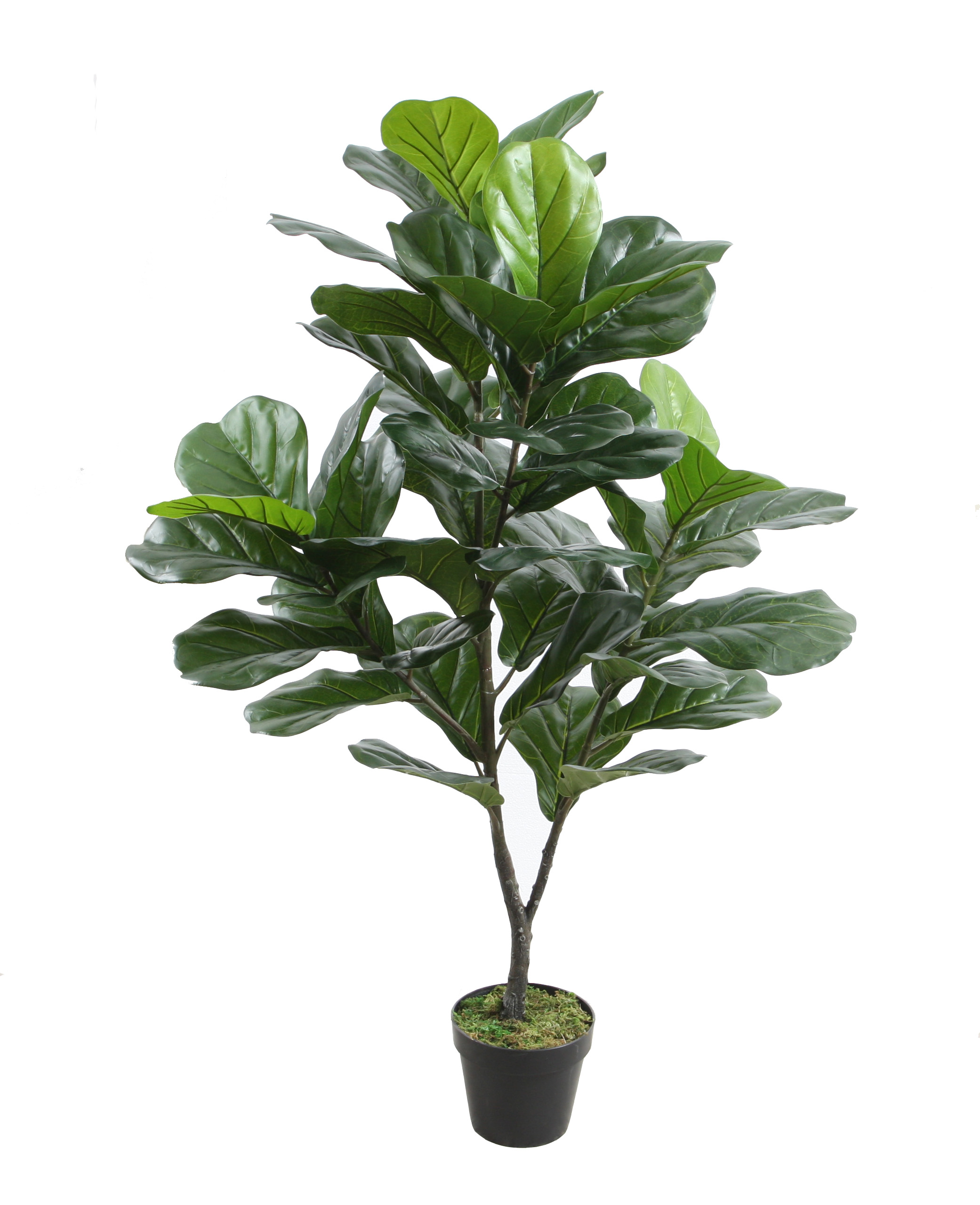 125CM Fiddle Leaf Tree