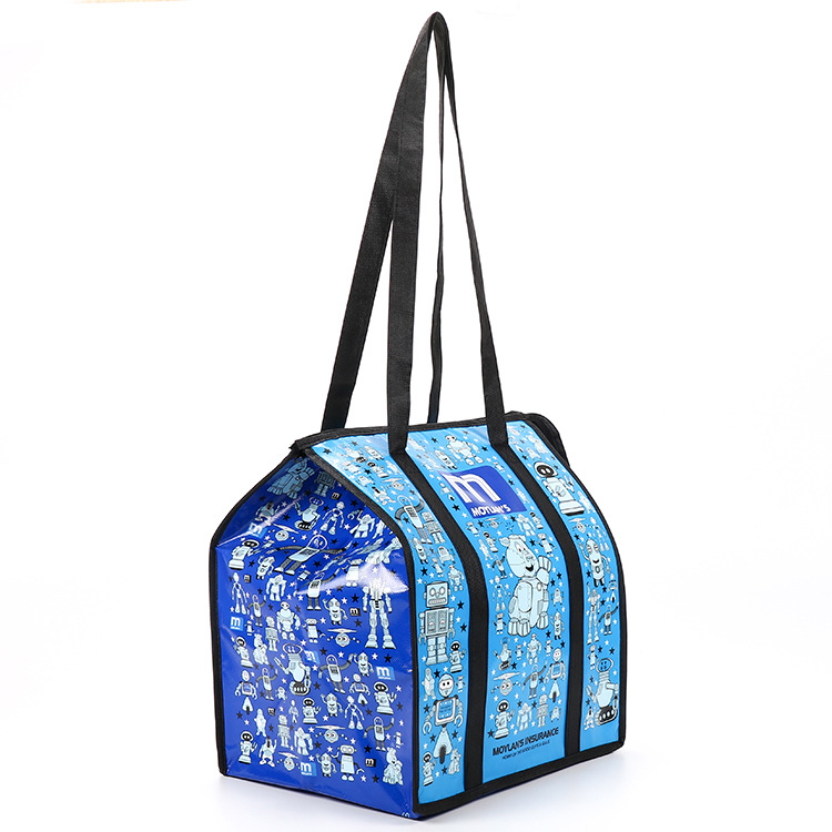 Lunch Cooler Bag