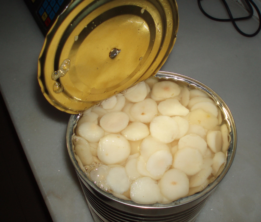 Canned water chestnus