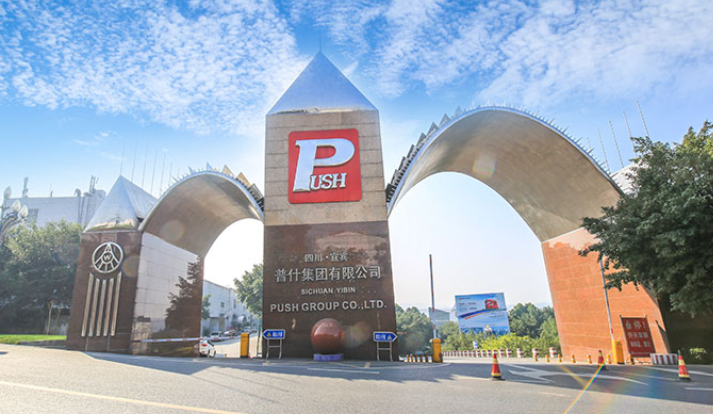 Sichuan Yibin Push Group 3D Co., Ltd. – Three-dimensional printing 1
