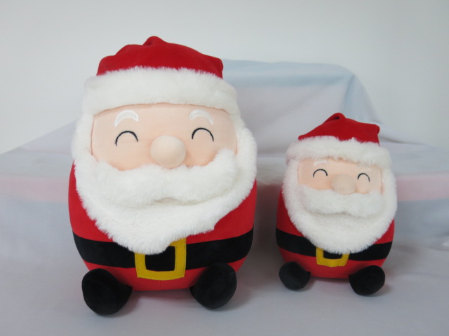 Santa Christmas Santa