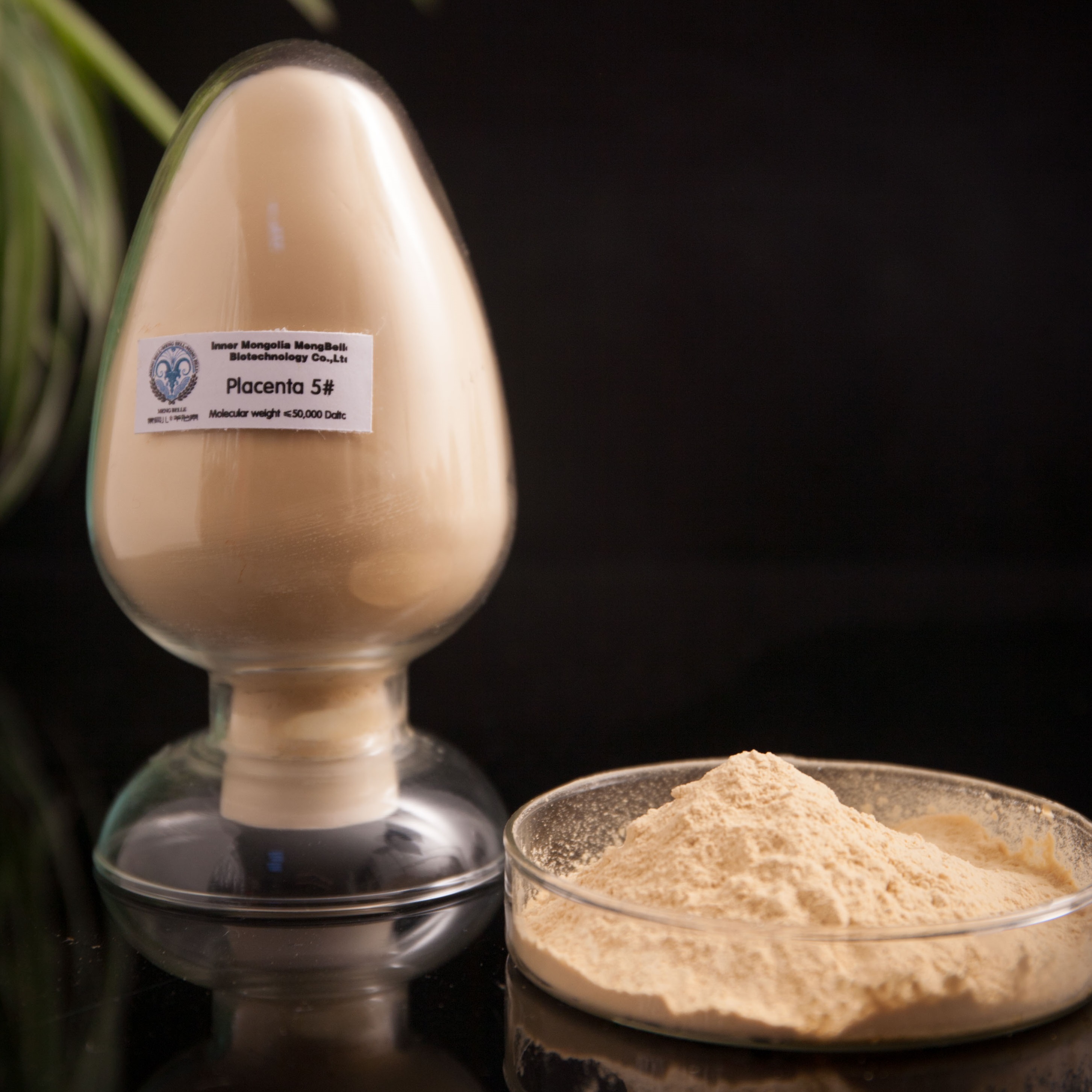 Inner Mongolia Meng Belle Biotechnology Co ., Ltd – colchoneta de yoga 4