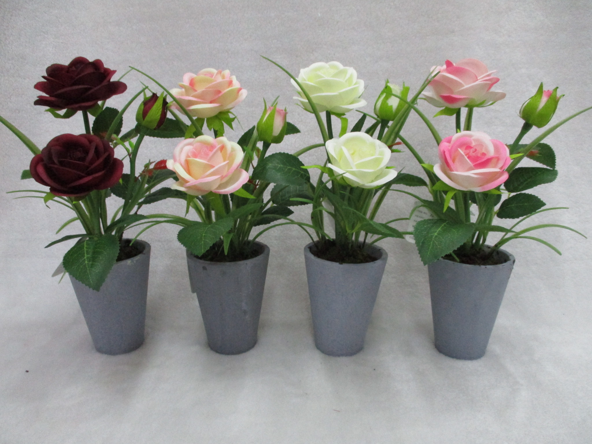 Potted Rose