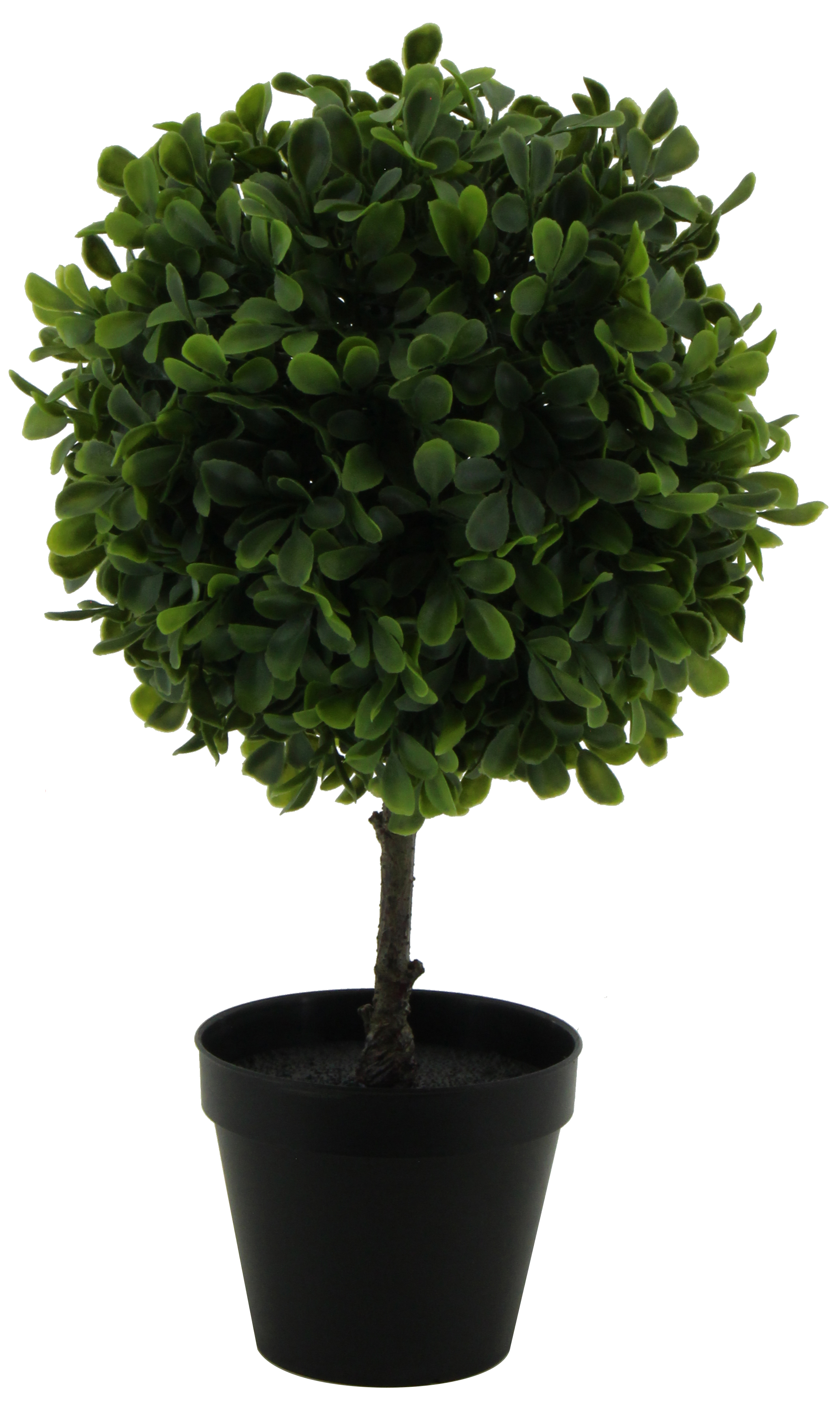 DONGLI PLASTIC PRODUCTS CO.,LTD – Plastic plants 2