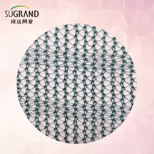 100g Green Triangle Olive Net