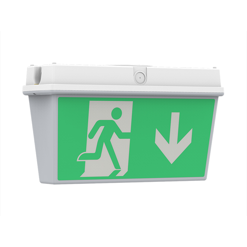 IP65 emergency 3 hours LED emergency light box