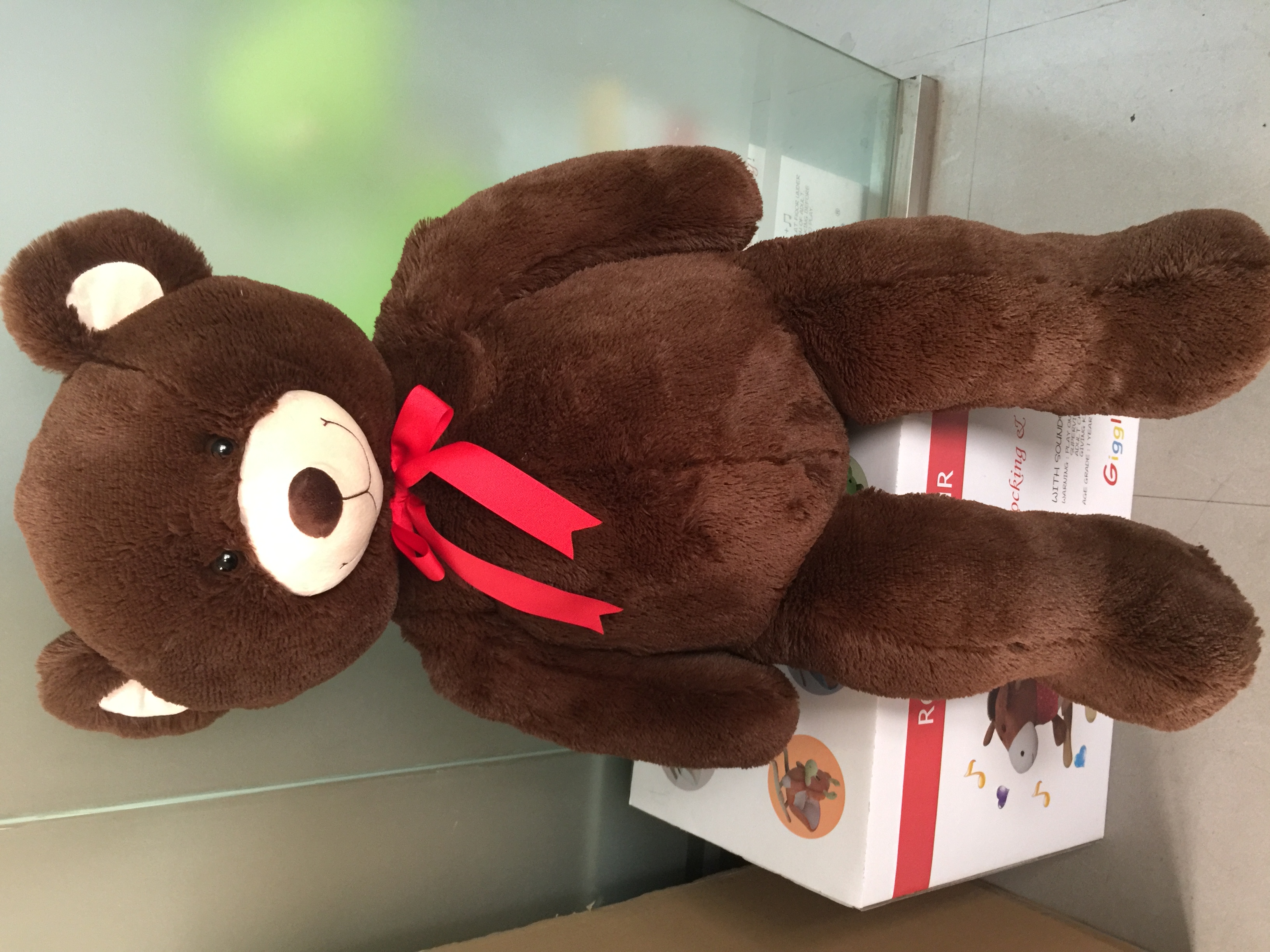 teddy bear