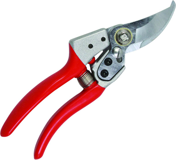 Pruner Shear