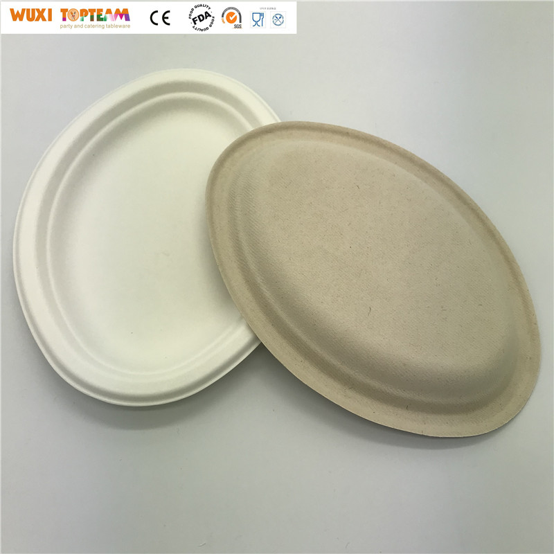 100% Biodegradable and Compostable Plates Disposable Sugarcane Oval Plates