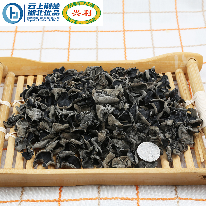Black Fungus