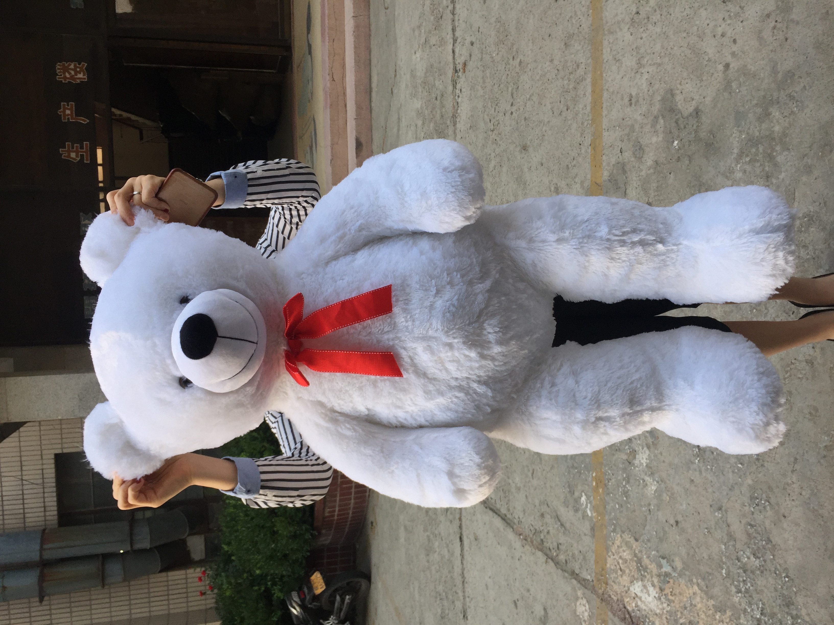 teddy bear