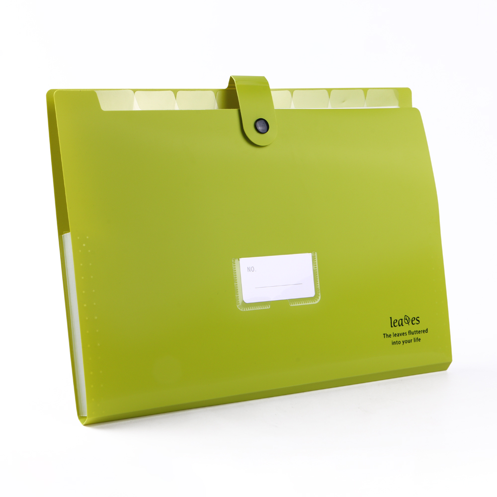 Eagle fashinable rainbow color portable A4 size PP plastic expanding file folder OLIVE GREEN